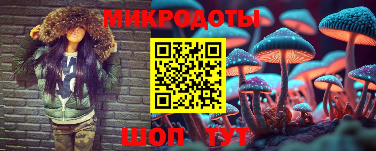 Псилоцибиновые грибы Psilocybine cubensis Севастополь
